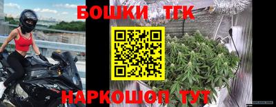 дживик Пенза