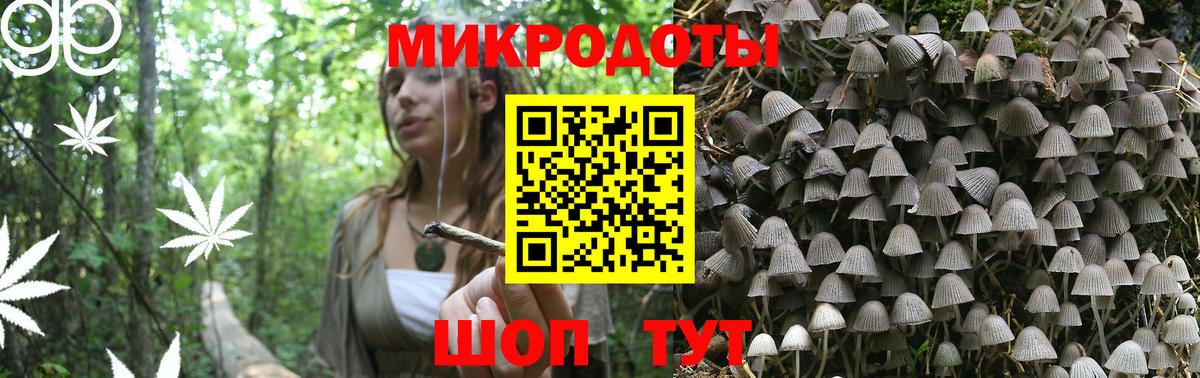 Соль-Илецк  Галлюциногенные грибы мухоморы  Галлюциногенные грибы MAGIC MUSHROOMS  Вход с VPN 